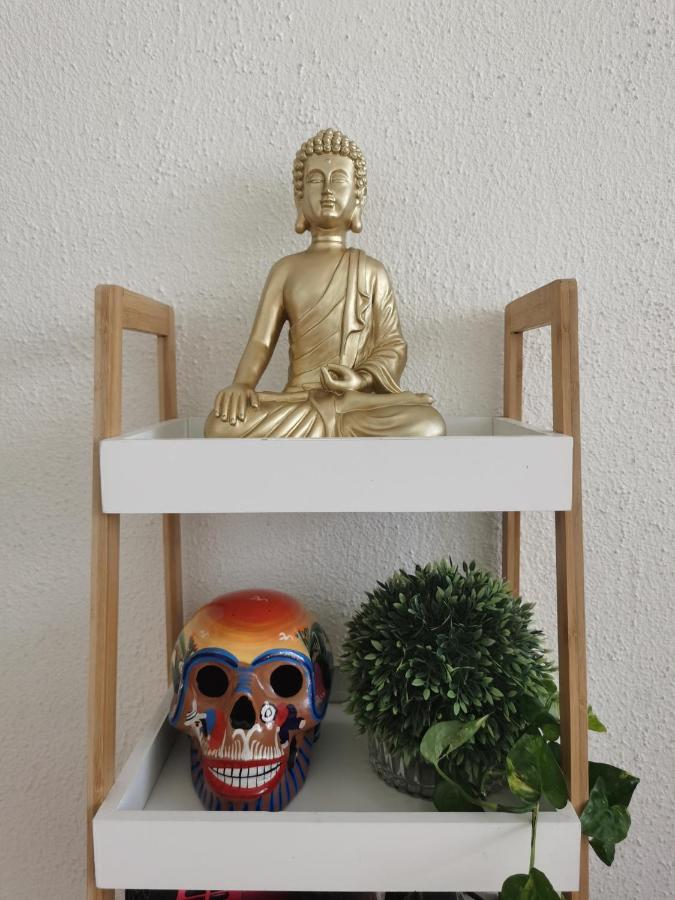 Homestay Happy Little Chicago Wtc Mexico City