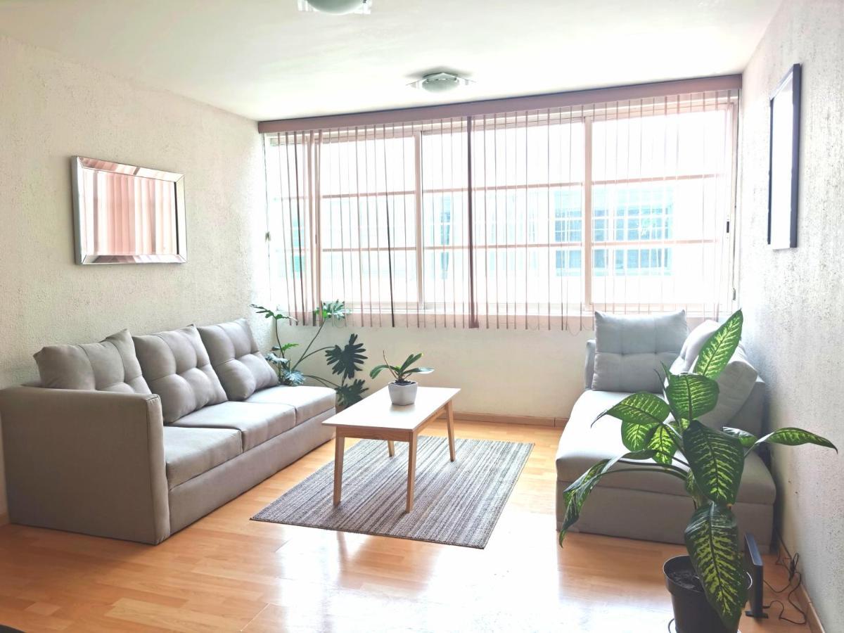 Happy Little Chicago Wtc Homestay Mexico City
